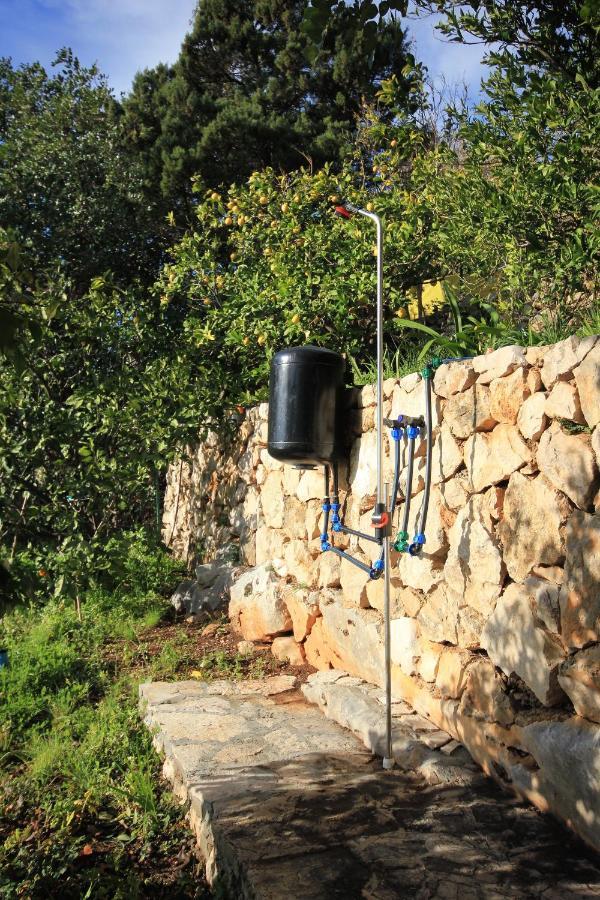 Apartments With A Parking Space Zavala, Hvar - 8912 Εξωτερικό φωτογραφία