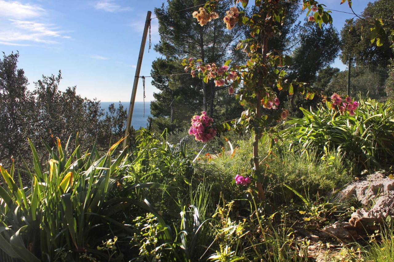Apartments With A Parking Space Zavala, Hvar - 8912 Εξωτερικό φωτογραφία